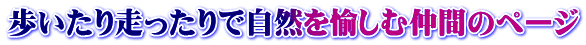 葖ŎRޒԂ̃y[W